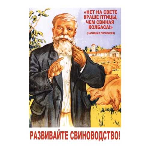 Плакат СТ-Диалог Развивайте свиноводство!, СОВ-011, бумага, 40х60 см в Новэкс