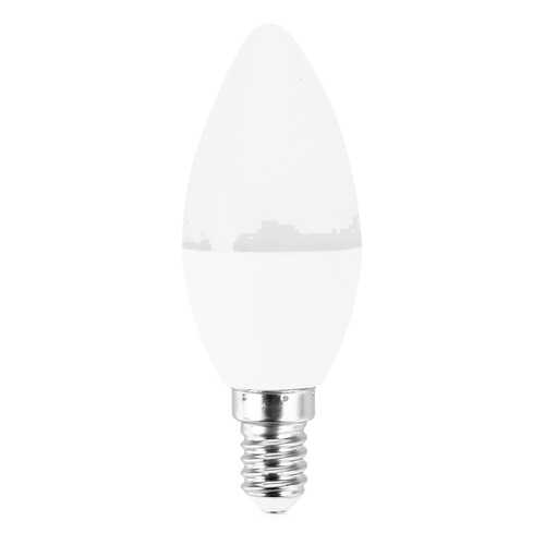 Лампа светодиодная ASD свеча C37 E14 10W 4000K, 102x37, пластик/алюминий, standard, 5576 в Новэкс