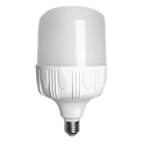Лампочка Экономка Eco30wHWLEDE2765 A100 30W в Новэкс
