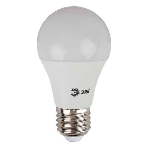 Лампочка ЭРА ECO LED A60-10W-840-E27 Б0028005 в Новэкс