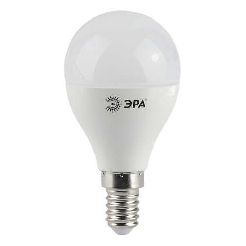 Лампочка ЭРА P45-5w-827-E14 в Новэкс