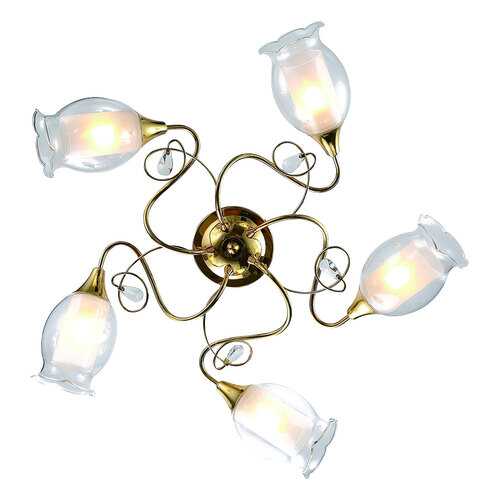 Люстра потолочная Arte Lamp A9289PL-5GO в Новэкс