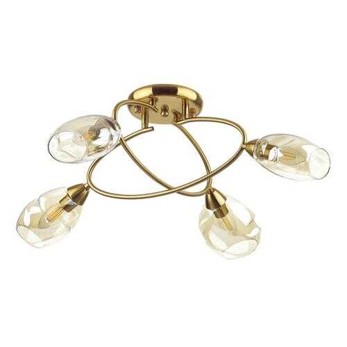 Потолочная люстра Lumion Orla 4483/4C в Новэкс