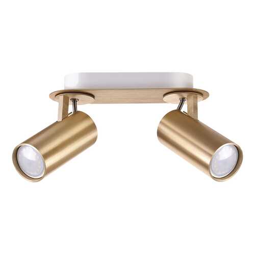 Спот Odeon Light 3876/2C gu10 в Новэкс
