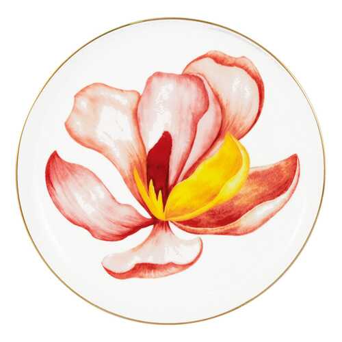 Тарелка Magnolia 19 см Flowers Julia Vysotskaya 57983 в Новэкс